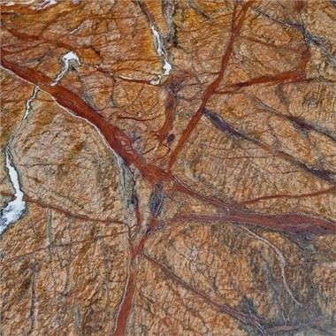 Τροπικό δάσος καφέ γρανίτης